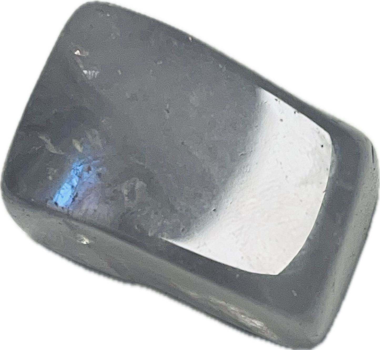 Amatidta Rainbow Ar723