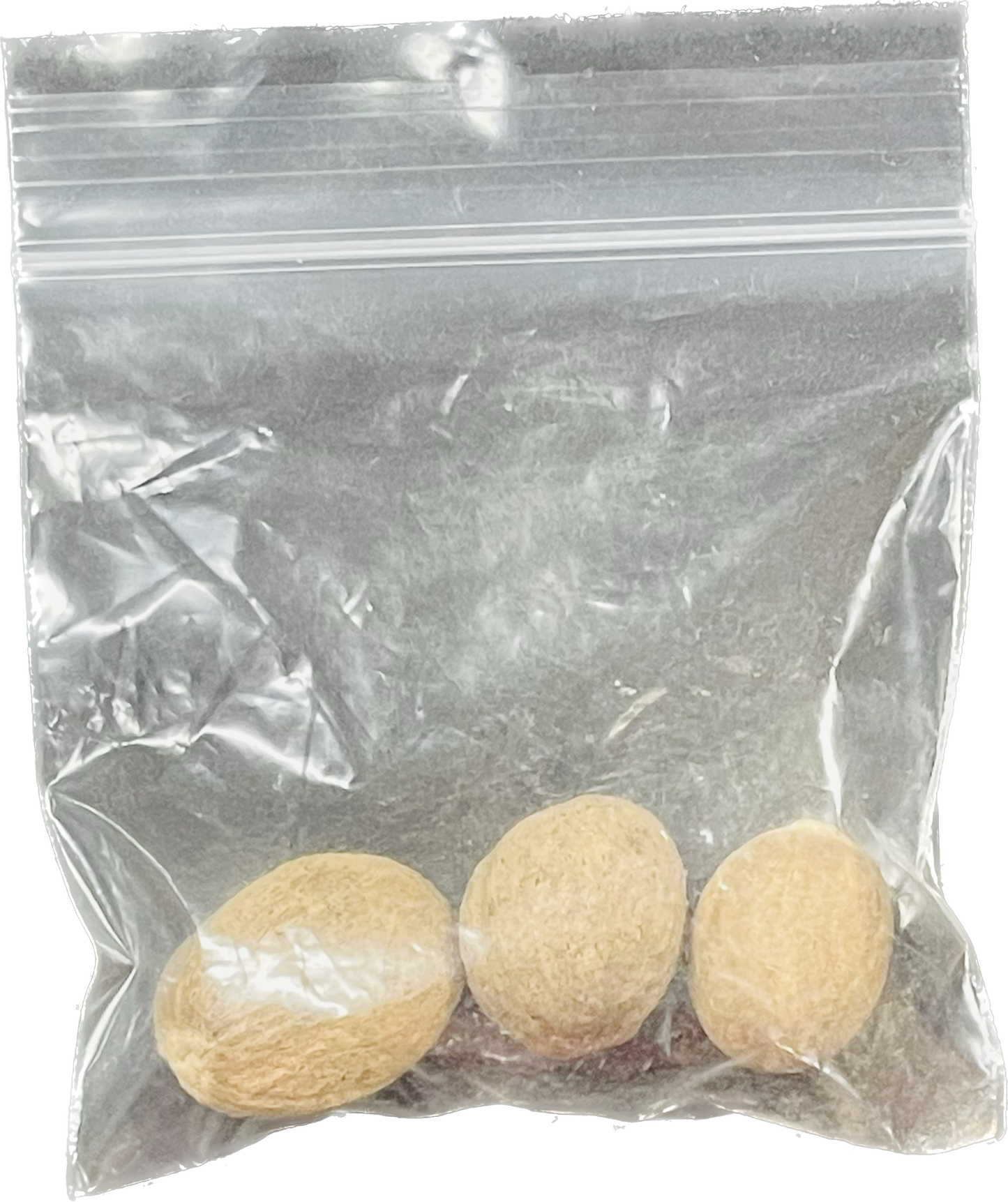 Semilla Nuez Moscada