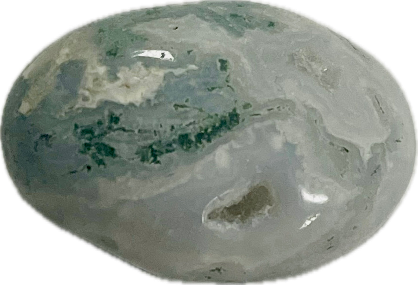 Tree Agate Stone #ta23