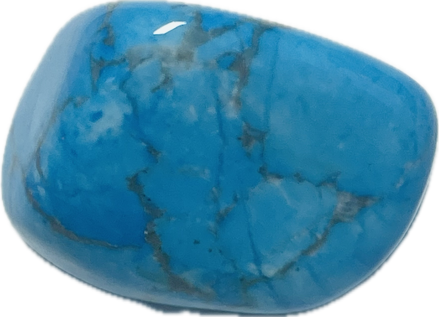 Howlite Blue Stone 242347