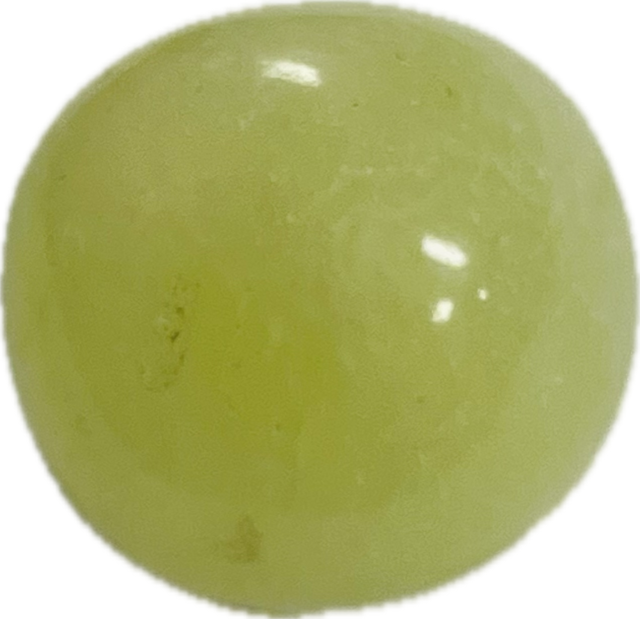 Parrot Green Onyx Pgo147