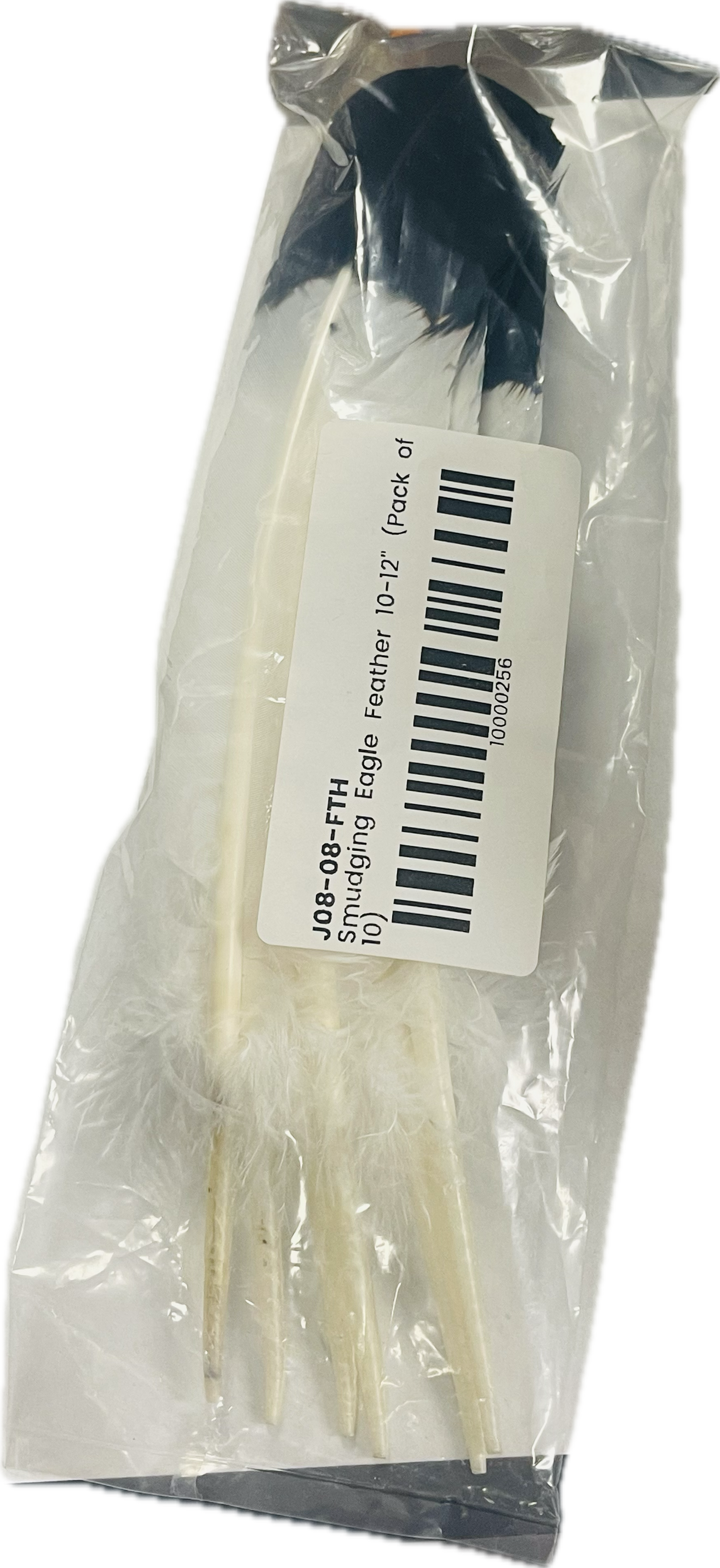 Eagle Feather Imitation