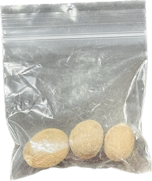 Semilla Nuez Moscada