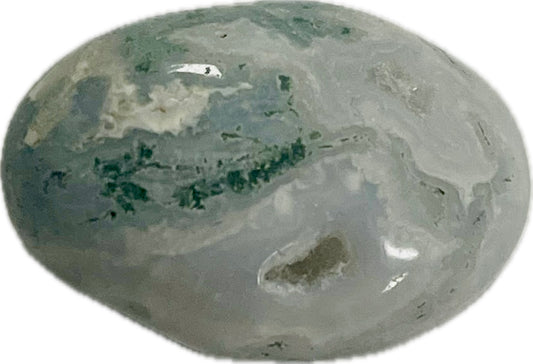 Tree Agate Stone #ta23