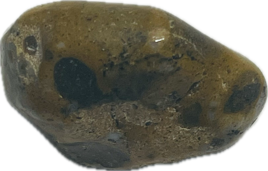 Jasper Leopard Skin India Stone 148123