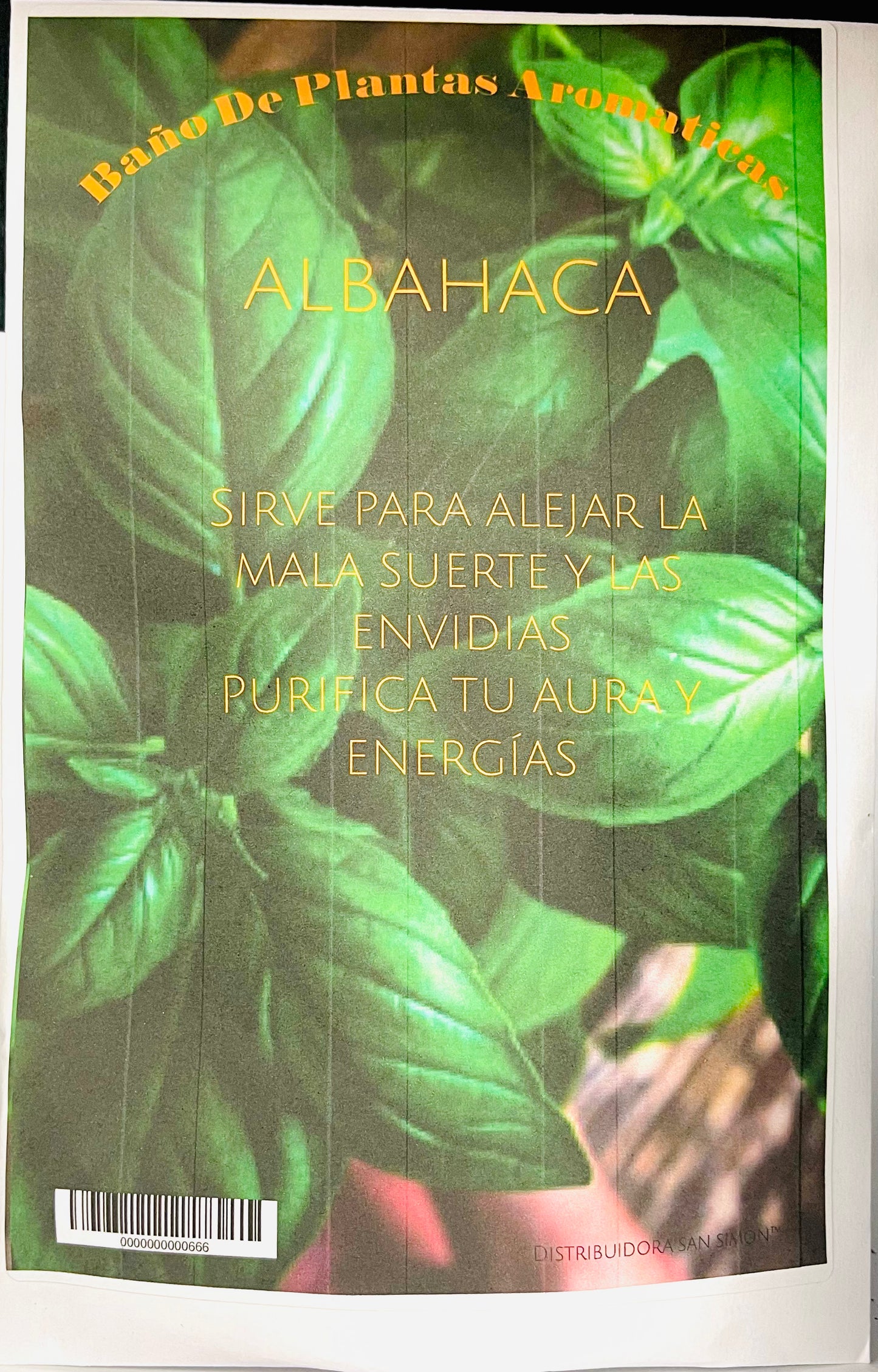 Baño De Plantas Aromatica Albahaca